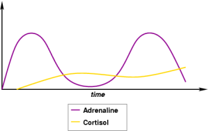 demystifying_depression-cortisol