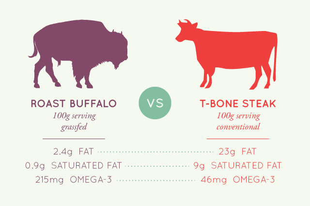 Liveto110_fats_buffalo_beef