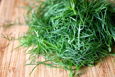 fennel fronds