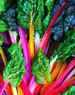 swiss chard