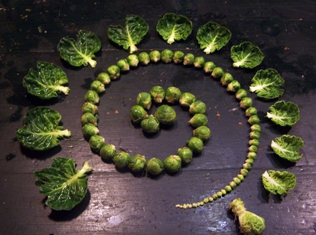 sprout-spiral
