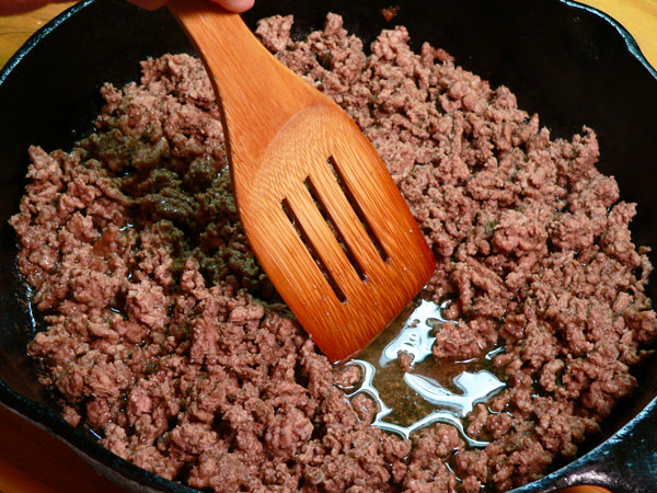 Ground bison 2