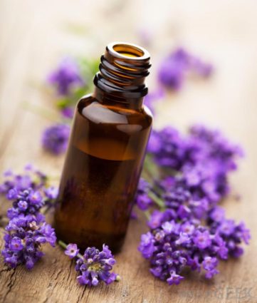 lavender-essential-oil