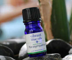 Best Essential Oils for Digestion