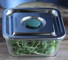 glass_container_square radiant life