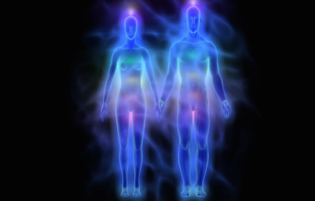 Human Body Field