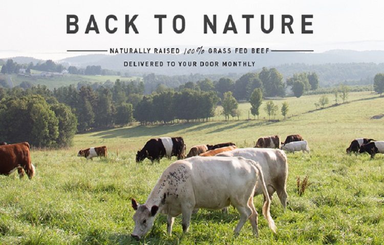 Grass-fed Vs Grain-fed Beef butcher box