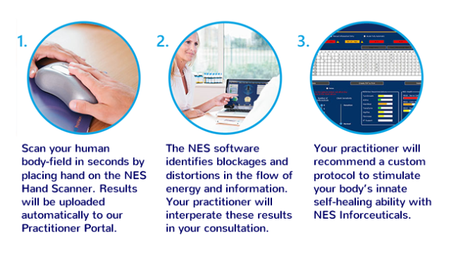 How NES Health Bioenergetics Works