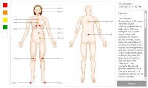 Bioenergetic Body Scan Report