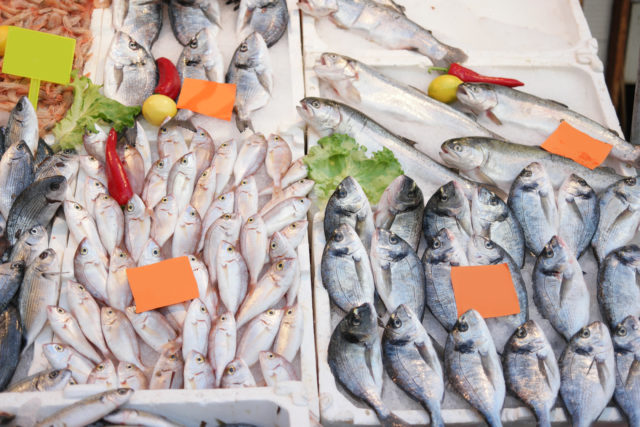 Fish display at fish market. Seafood market stall with various types of raw fish.