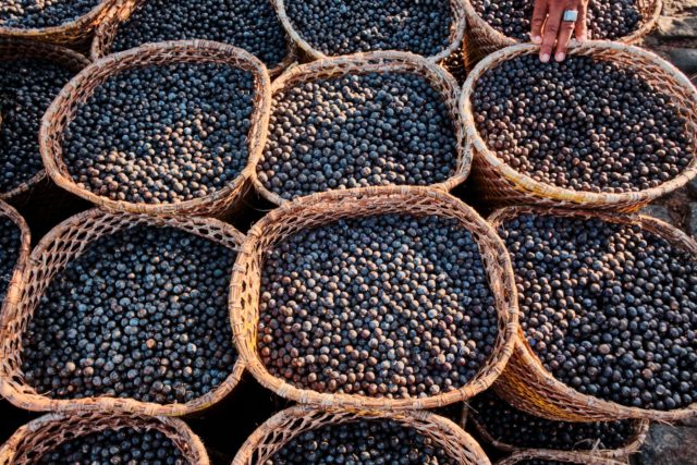 Acai berries