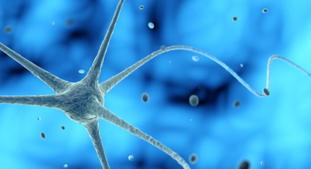 Vagus Nerve and Vagal Regulation
