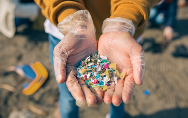 Environmental Toxins - Microplastics 