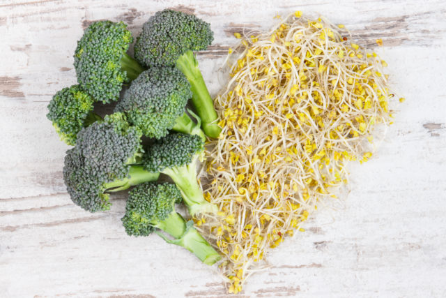 broccoli sprouts